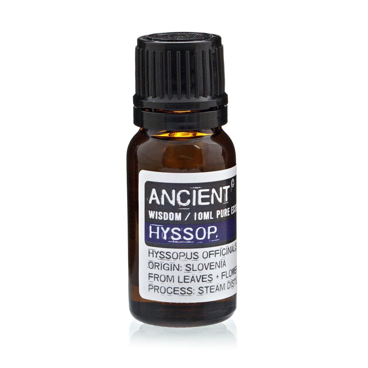 10ml Hyssop Essential Oil – Hyssopus Officinalis | Steam Distilled Slovenia