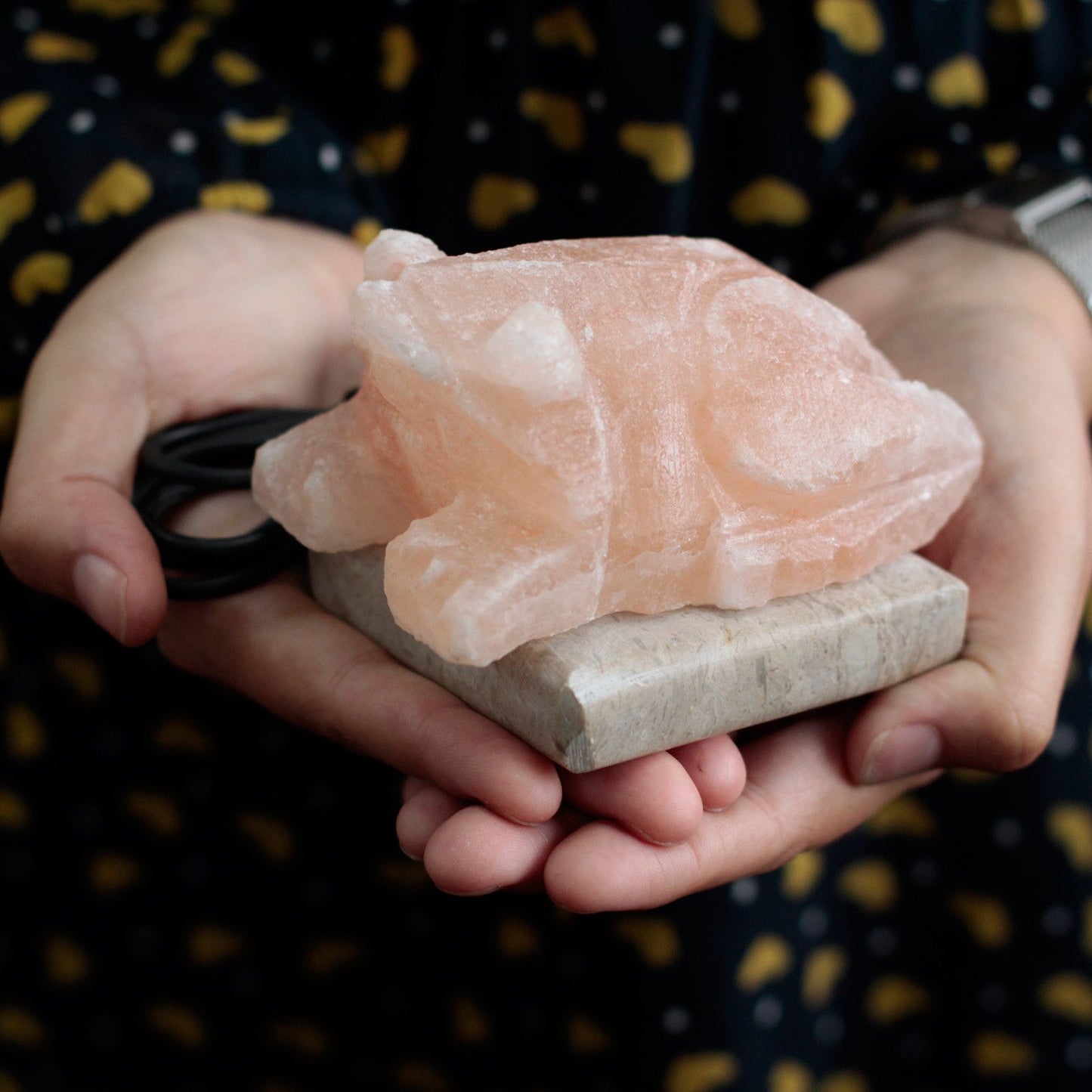 USB Himalayan Salt Lamp – Toad | Random Colour Selection