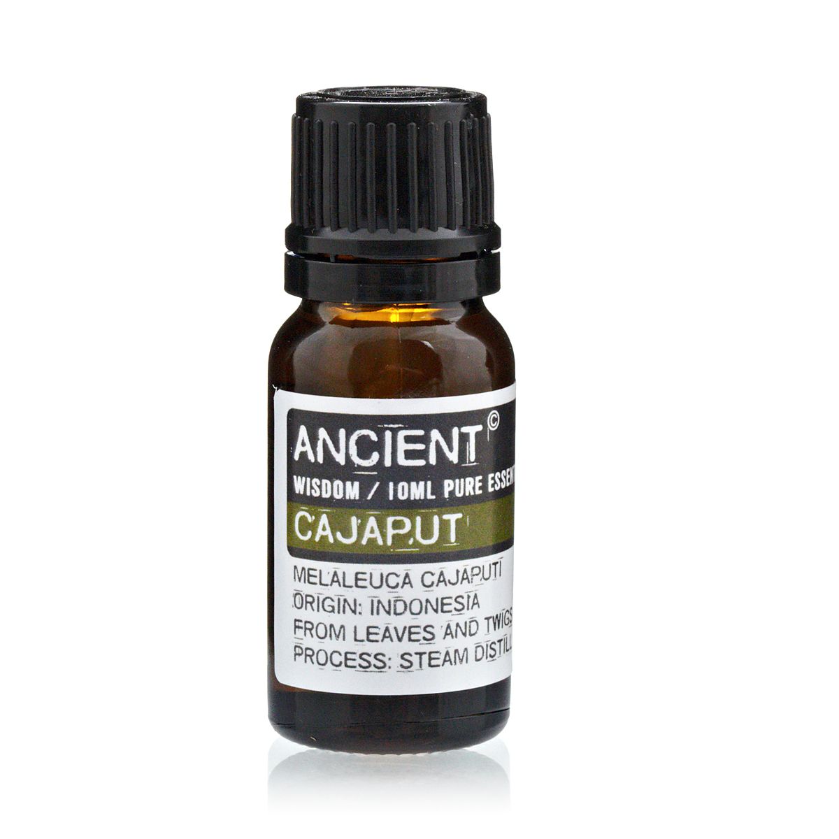 10ml Cajeput Essential Oil – Melaleuca Cajuputi | Steam Distilled Indonesia