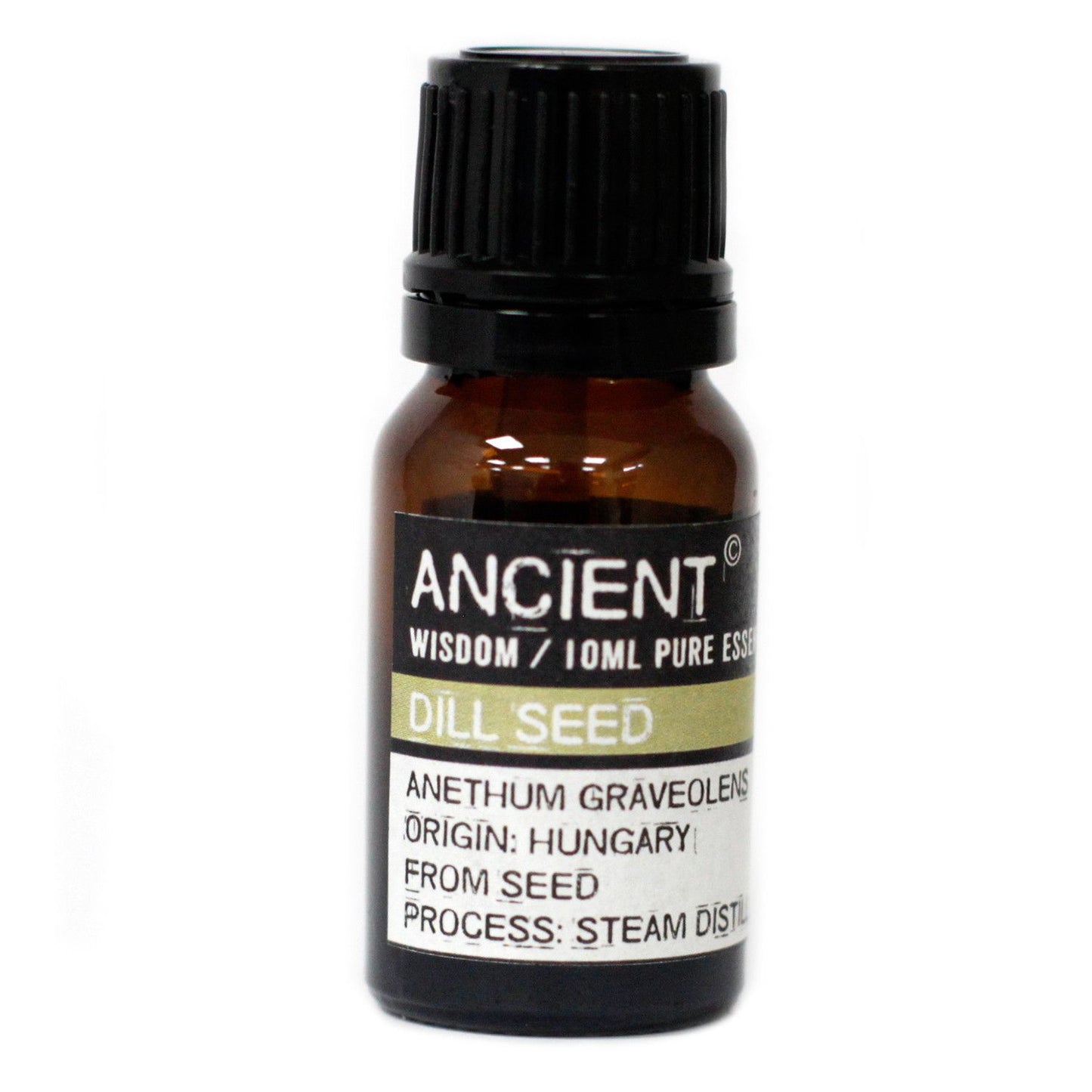 10ml Dill Seed Essential Oil – Anethum Graveolens | Steam Distilled Hungary