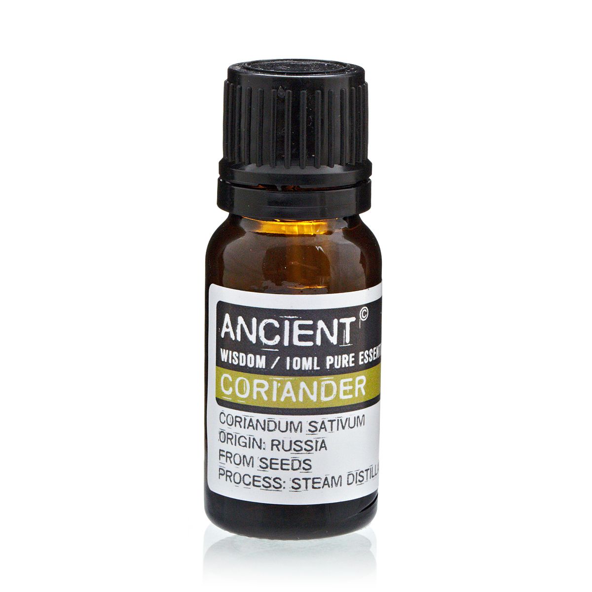 10ml Coriander Seed Essential Oil – Coriandrum Sativum | Steam Distilled Russia