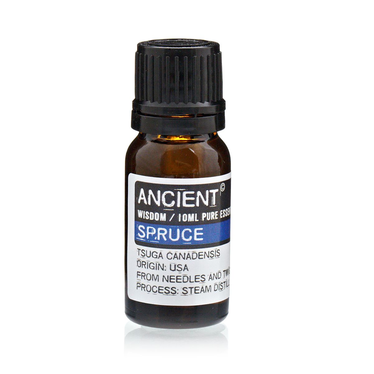10ml Spruce Essential Oil – Tsuga Canadensis | Steam Distilled USA