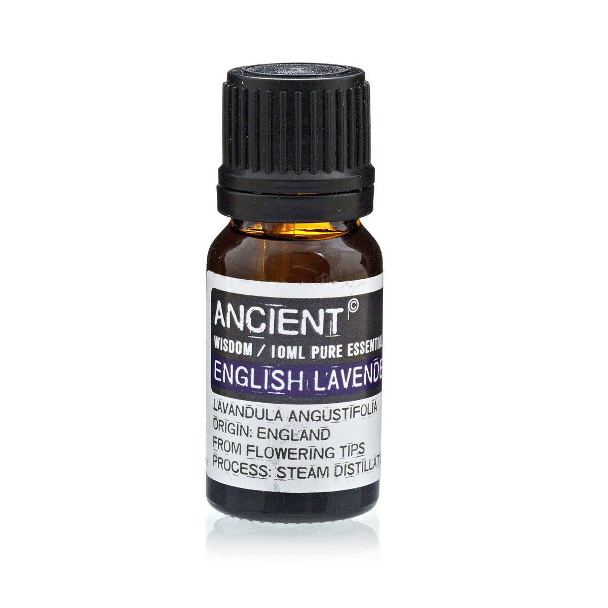 English Lavender Essential Oil 10ml – Pure Steam Distilled Aromatherapy Oil