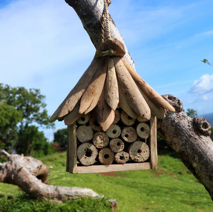 Driftwood Bee & Insect Box – Recycled Driftwood Garden House