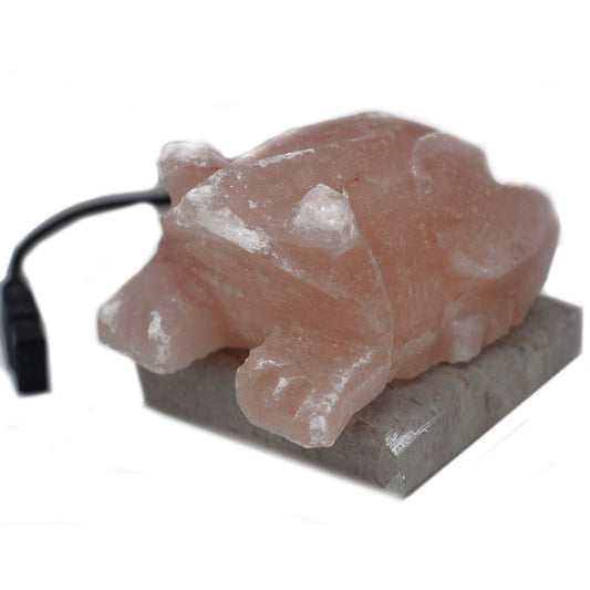 USB Himalayan Salt Lamp – Toad | Random Colour Selection