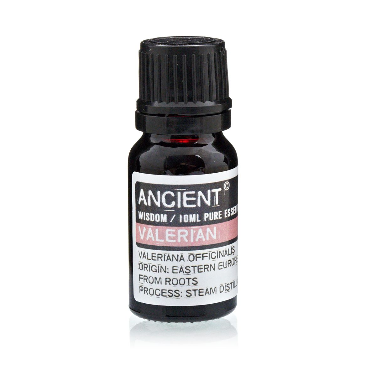 10ml Valerian Essential Oil – Valeriana Officinalis | Steam Distilled Eastern Europe