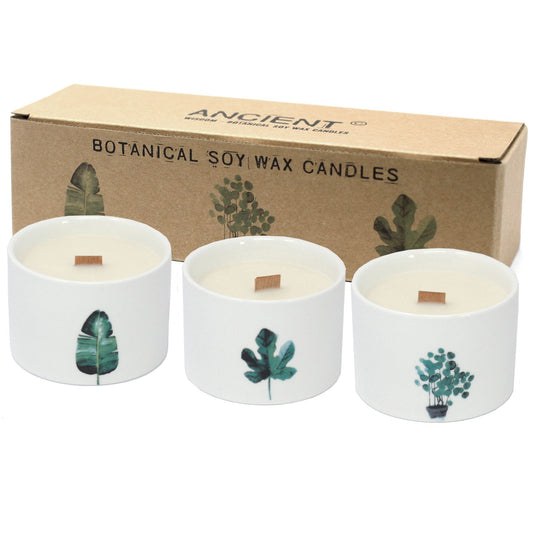 Botanical Soy Wax Candles – Lemon Honeysuckle (Set of 3)