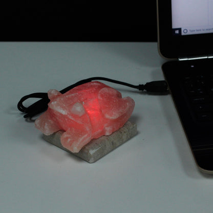 USB Himalayan Salt Lamp – Toad | Random Colour Selection