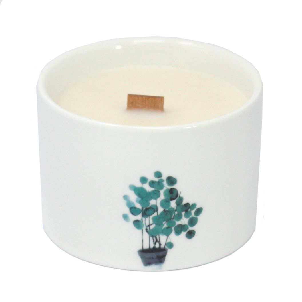 Botanical Soy Wax Candles – Mulberry Harvest (Set of 3)