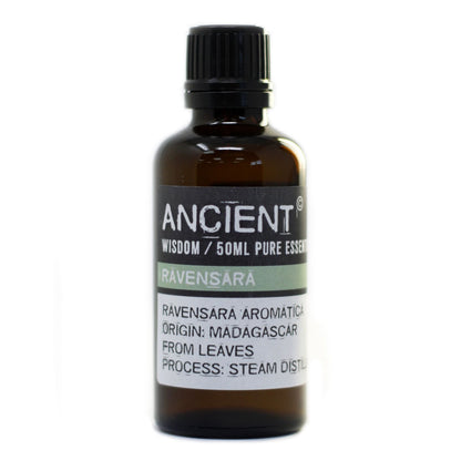 50ml Ravensara Essential Oil – Ravensara Aromatica | Steam Distilled Madagascar