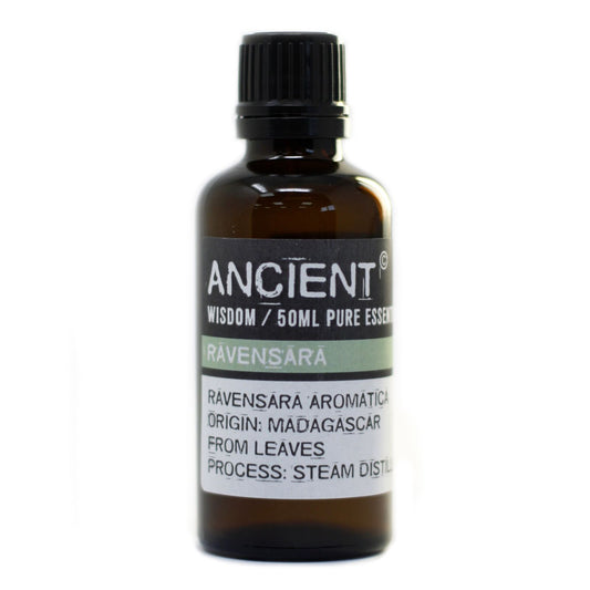 50ml Ravensara Essential Oil – Ravensara Aromatica | Steam Distilled Madagascar