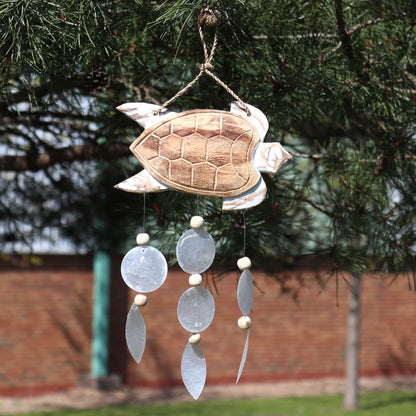 Whitewash Turtle Carving & Natural Capiz Drop Chime – Handmade Wind Chime