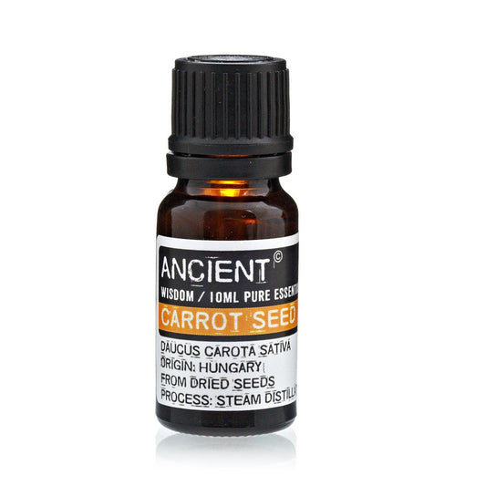 10ml Carrot Seed Essential Oil – Daucus Carota Sativa | Steam Distilled Hungary