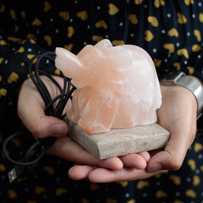 USB Himalayan Salt Lamp – Elephant | Random Colour Selection