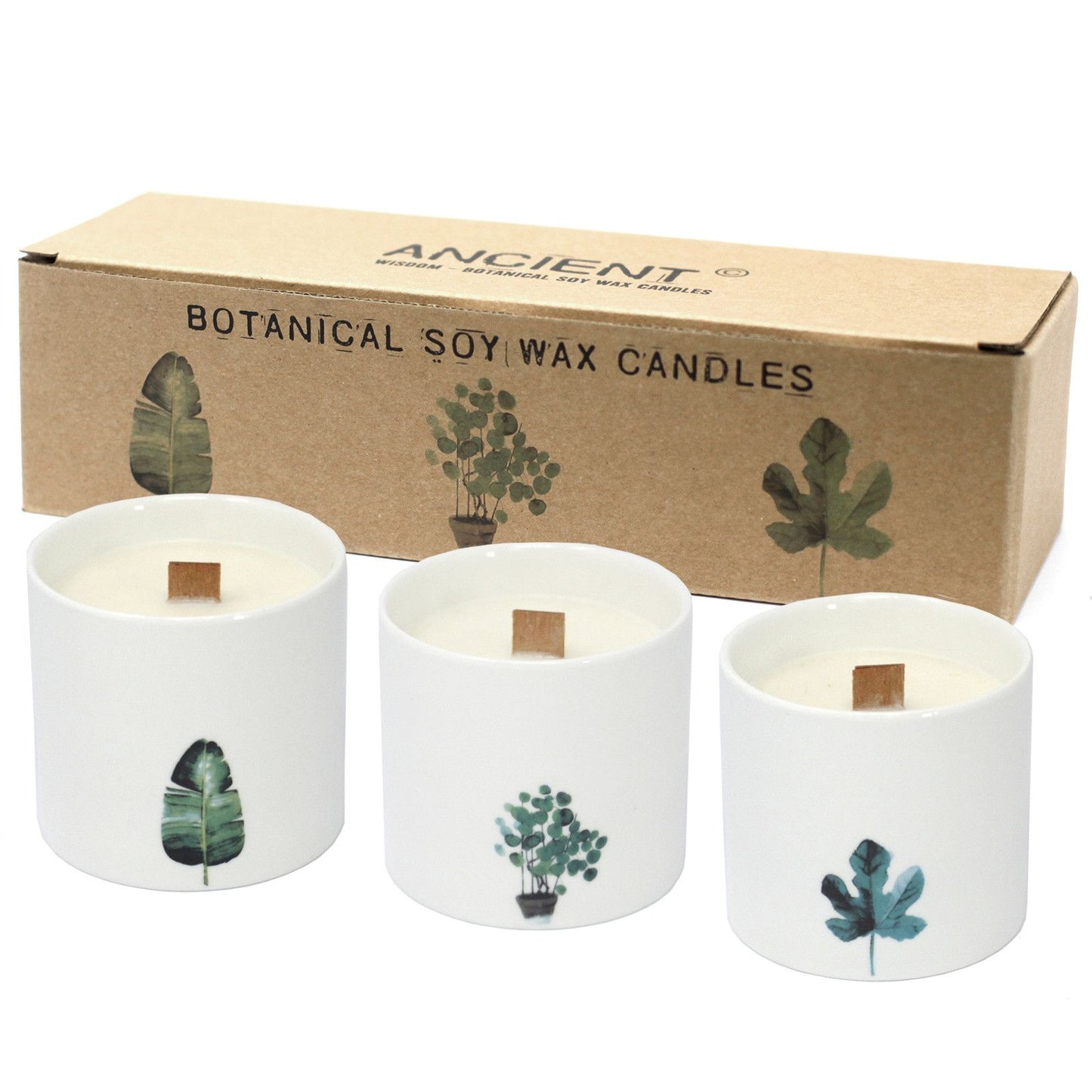 Large Botanical Soy Wax Candle – Marsh Viola