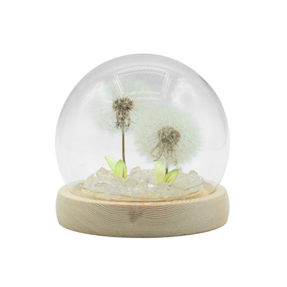 Floral Glow Garden Dome – 2 Dandelions | LED & USB Powered