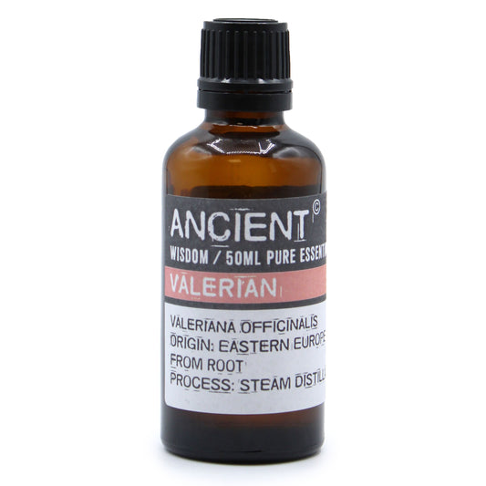 Valerian Essential Oil 50ml – Valeriana Officinalis | Steam Distilled Eastern Europe