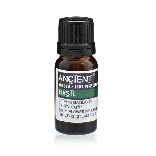10ml Basil Essential Oil – Ocimum Basilicum | Steam Distilled India