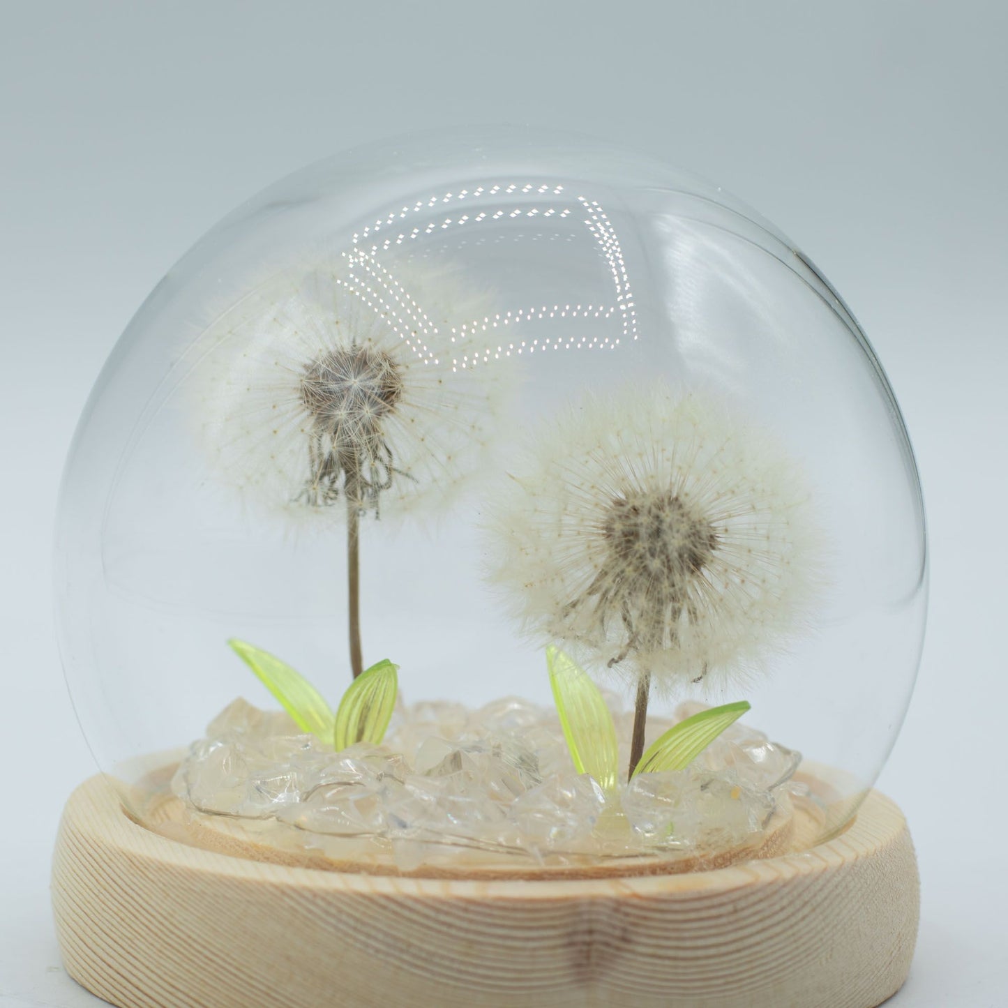 Floral Glow Garden Dome – 2 Dandelions | LED & USB Powered