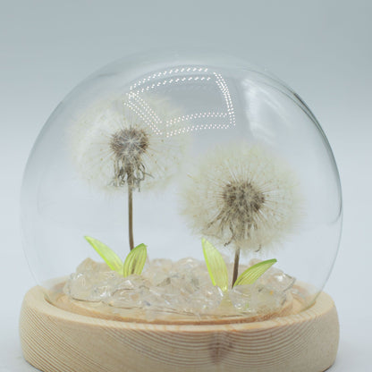 Floral Glow Garden Dome – 2 Dandelions | LED & USB Powered