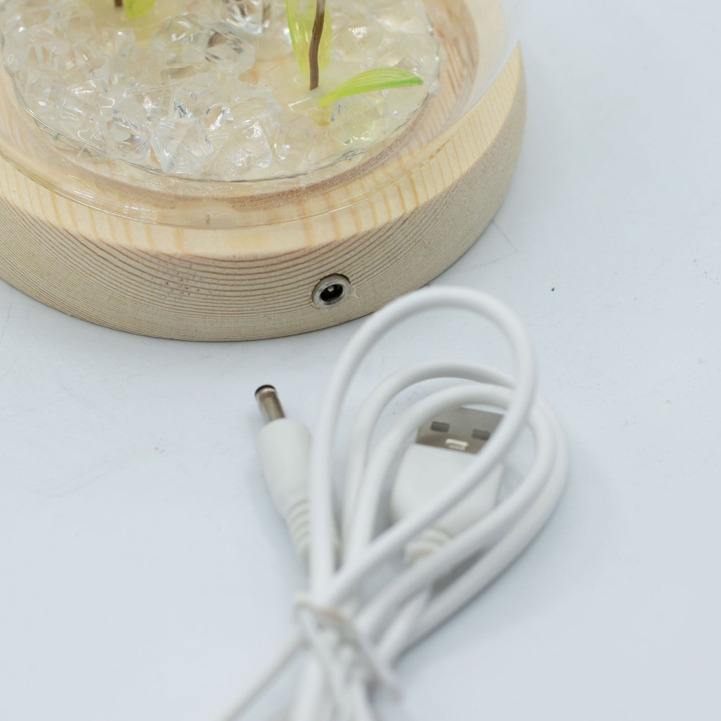 Floral Glow Garden Dome – 2 Dandelions | LED & USB Powered