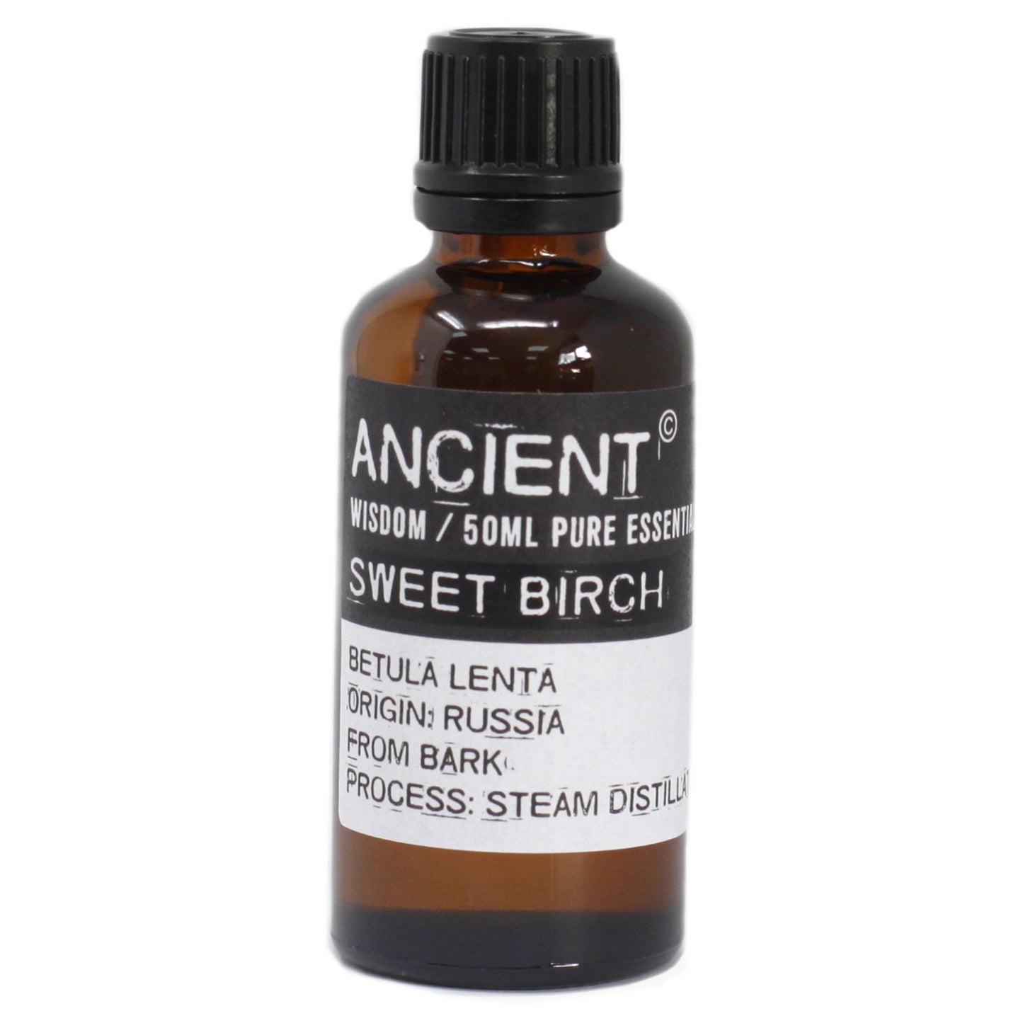 Sweet Birch Essential Oil 50ml – Betula Lenta | Steam Distilled Russia