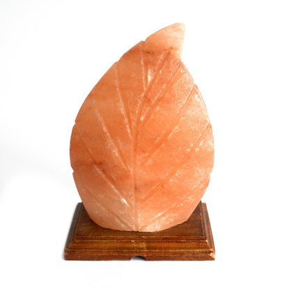 Himalayan Salt Lamp – Fern | Carved Natural Pink Rock Salt