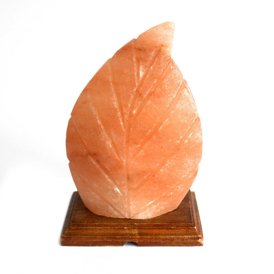 Himalayan Salt Lamp – Fern | Carved Natural Pink Rock Salt