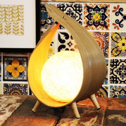 Natural Coconut Lamp – Natural Loop