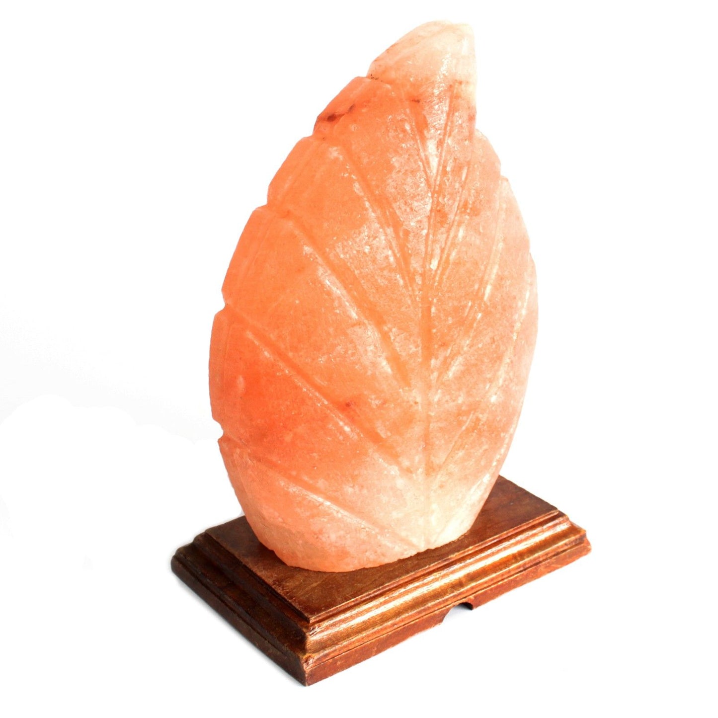 Himalayan Salt Lamp – Fern | Carved Natural Pink Rock Salt