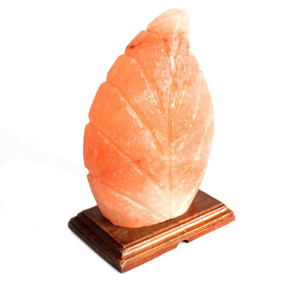 Himalayan Salt Lamp – Fern | Carved Natural Pink Rock Salt