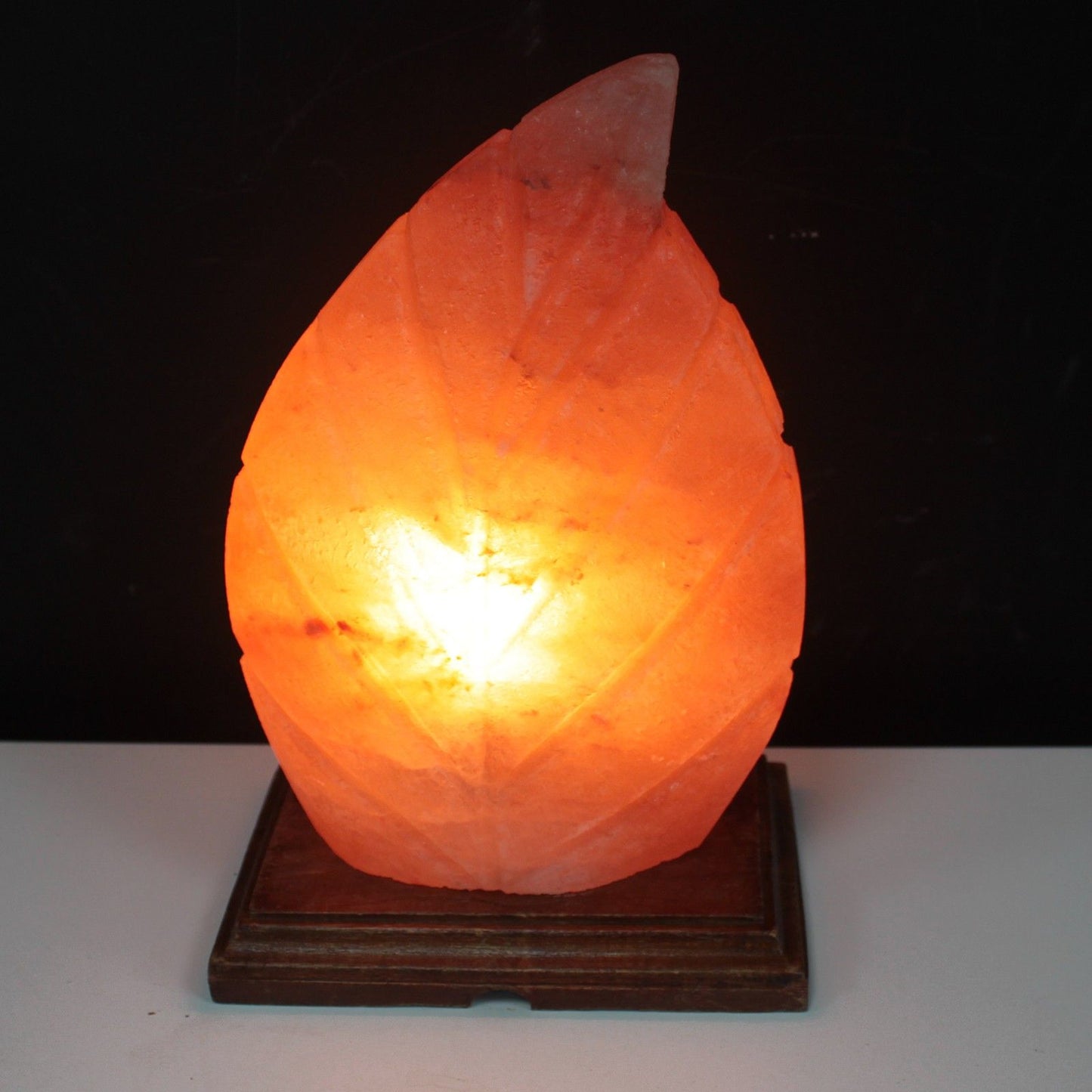 Himalayan Salt Lamp – Fern | Carved Natural Pink Rock Salt