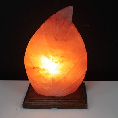 Himalayan Salt Lamp – Fern | Carved Natural Pink Rock Salt