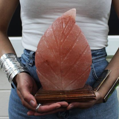 Himalayan Salt Lamp – Fern | Carved Natural Pink Rock Salt
