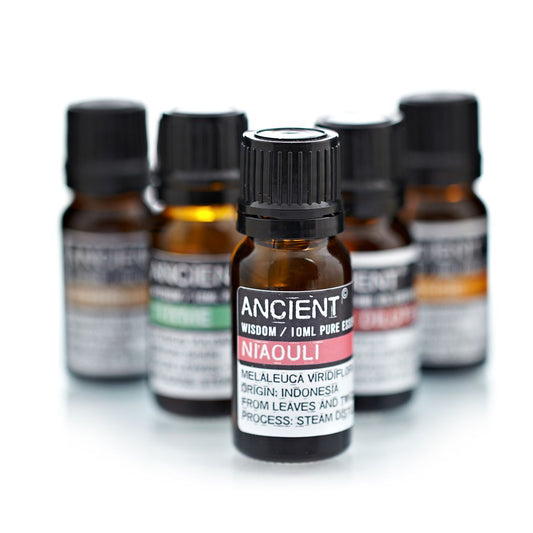 10ml Niaouli Essential Oil – Melaleuca Viridiflora | Steam Distilled Indonesia