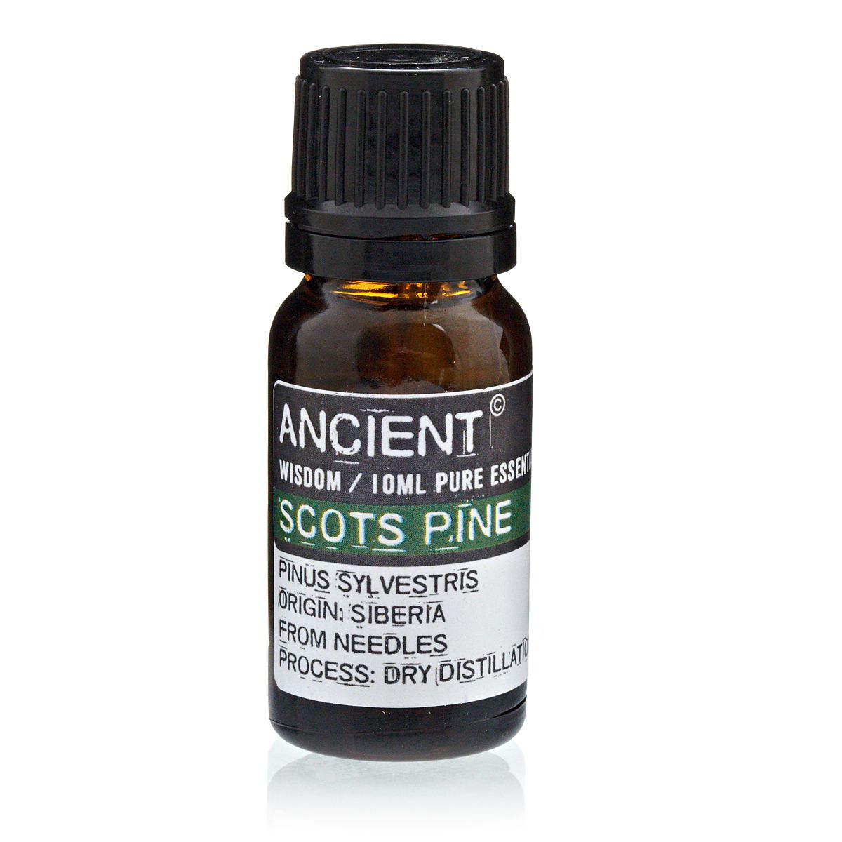10ml Scots Pine Essential Oil – Pinus Sylvestris | Dry Distilled Siberia