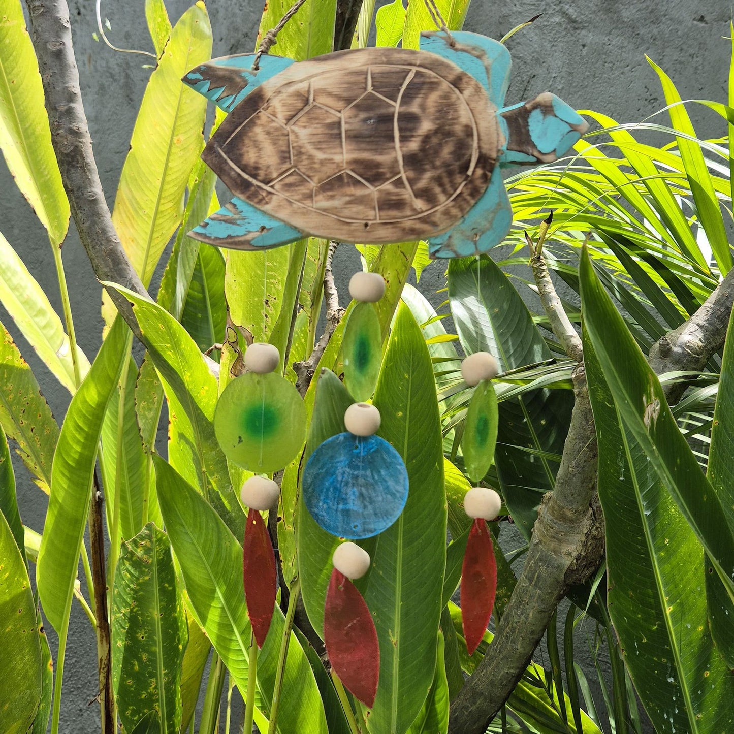 Aqua Turtle Carving & Capiz Drop Chime – Handmade Natural Wind Chime