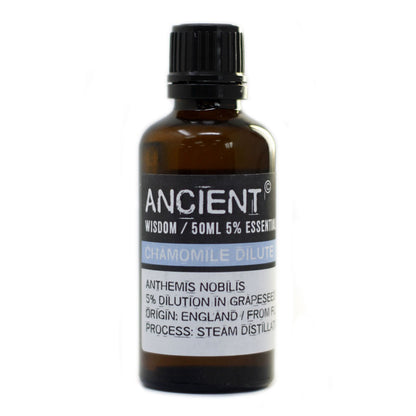 50ml Roman Chamomile Essential Oil (Dilute) – Anthemis Nobilis | 5% in Grapeseed Oil | England