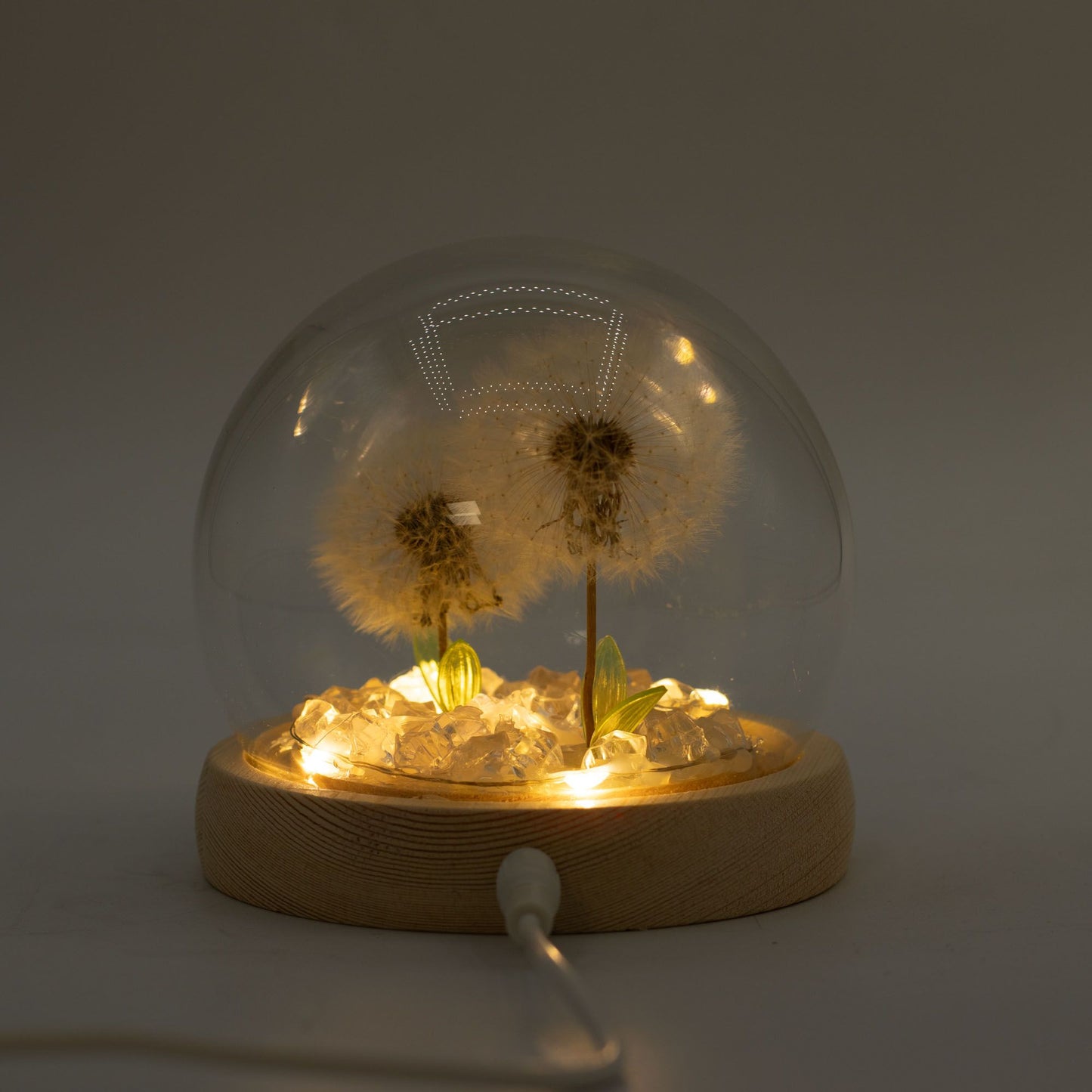 Floral Glow Garden Dome – 2 Dandelions | LED & USB Powered