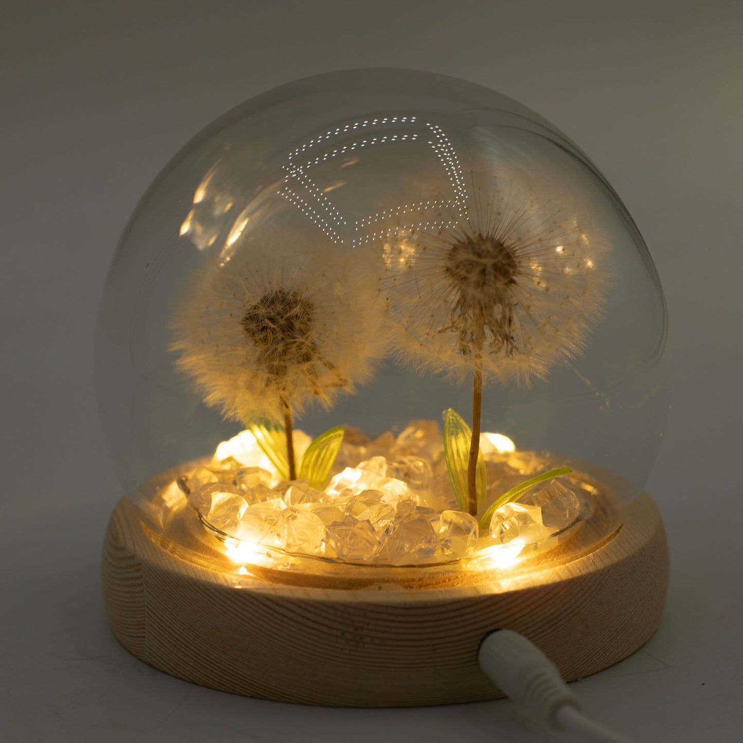 Floral Glow Garden Dome – 2 Dandelions | LED & USB Powered