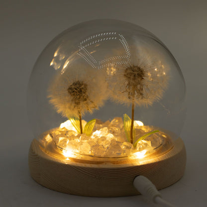 Floral Glow Garden Dome – 2 Dandelions | LED & USB Powered