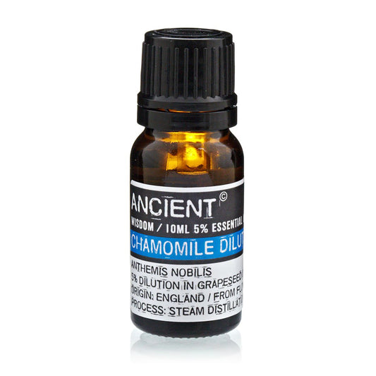 10ml Roman Chamomile Essential Oil (Dilute) – Anthemis Nobilis | 5% in Grapeseed Oil | England
