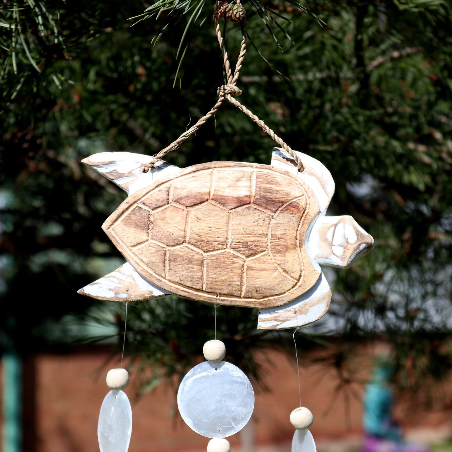 Whitewash Turtle Carving & Natural Capiz Drop Chime – Handmade Wind Chime