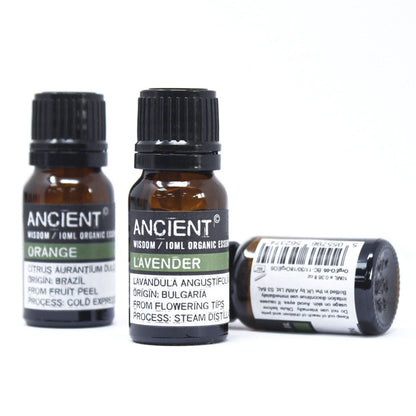 Patchouli Organic Essential Oil 10ml – Pogostemon Cablin | Steam Distilled India