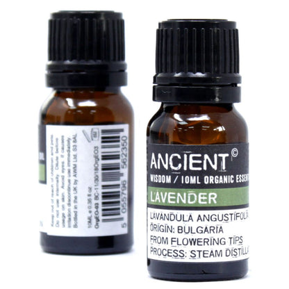 Patchouli Organic Essential Oil 10ml – Pogostemon Cablin | Steam Distilled India