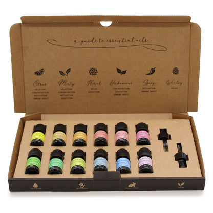 Himalayan Salt Aroma Diffuser & 12-Piece Essential Oil Bundle