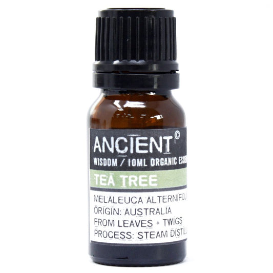 Tea Tree Organic Essential Oil 10ml – Melaleuca Alternifolia | Steam Distilled Australia