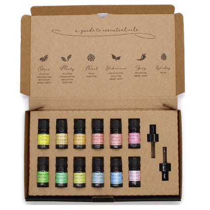 Himalayan Salt Aroma Diffuser & 12-Piece Essential Oil Bundle
