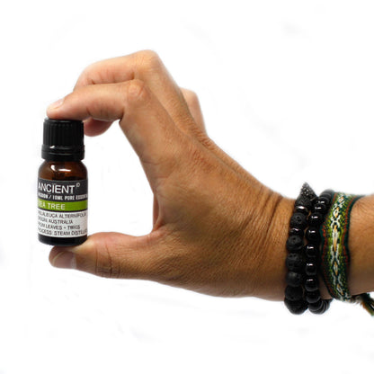 10ml Spearmint Essential Oil – Mentha Spicata | High Grade 60% Carvone | Steam Distilled
