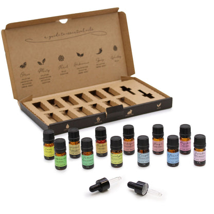 Himalayan Salt Aroma Diffuser & 12-Piece Essential Oil Bundle